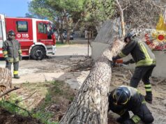 Forte vento in Sardegna, decine di interventi di soccorso dei Vigili del fuoco | Video