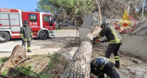 Forte vento in Sardegna, decine di interventi di soccorso dei Vigili del fuoco | Video