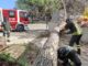 Forte vento in Sardegna, decine di interventi di soccorso dei Vigili del fuoco | Video