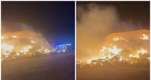 Incendio a Sestu, l’ira del proprietario del fienile: “Miserabili, atto di codardia”