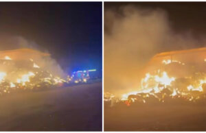 Incendio a Sestu, l’ira del proprietario del fienile: “Miserabili, atto di codardia”