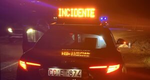 Incidente a Bortigali, auto investe e uccide un cavallo in mezzo alla carreggiata