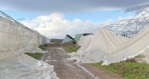 Maltempo Sardegna, grandine e forte vento: devastata azienda agricola oristanese