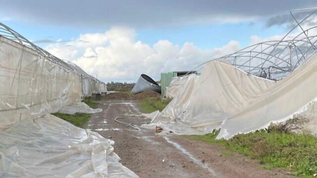 azienda-agricola-oristano