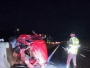Tragedia a Ploaghe, in auto si schianta contro un cinghiale: 44enne perde la vita