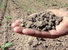 Siccità e sprechi d’acqua, a rischio in Sardegna oltre 6mila aziende