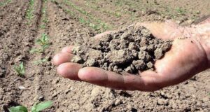 Siccità e sprechi d’acqua, a rischio in Sardegna oltre 6mila aziende