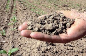 Siccità e sprechi d’acqua, a rischio in Sardegna oltre 6mila aziende