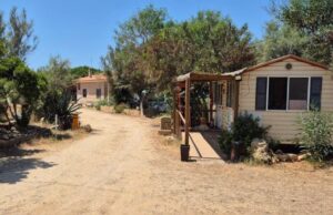 Ladri in azione a Is Arutas, svaliggiato il camping chiuso da qualche mese