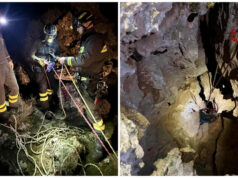 Cane da caccia precipita in una voragine a Urzulei: salvato