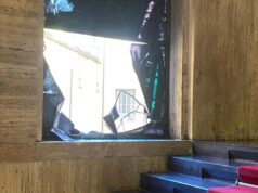 Incidente Cani, Todde contro ironia social | Deidda: “5 Stelle primi a insultare”