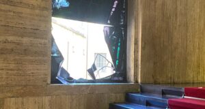 Incidente Cani, Todde contro ironia social | Deidda: “5 Stelle primi a insultare”