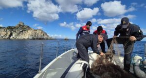 Reti da pesca abbandonate, intervento dei Carabinieri a Villasimius