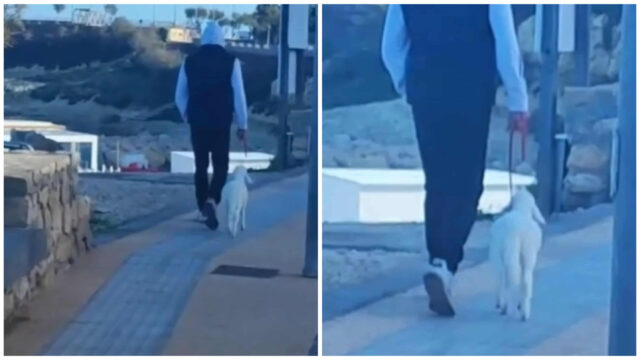 agnellino a porto torres