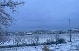L’inverno arriva in Sardegna, nel prossimo weekend previste le prime nevicate