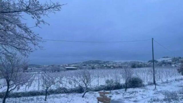 neve-nevicata-sardegna
