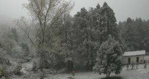 Neve in Sardegna, primo vero assaggio d’inverno | Video