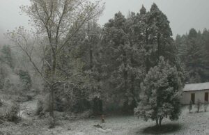 Neve in Sardegna, primo vero assaggio d’inverno | Video