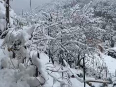 Grandi nevicate in Sardegna, l’Isola si risveglia sotto un manto bianco | Video