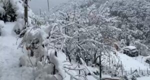 Grandi nevicate in Sardegna, l’Isola si risveglia sotto un manto bianco | Video