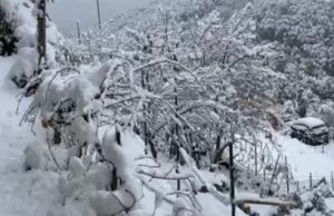 Grandi nevicate in Sardegna, l’Isola si risveglia sotto un manto bianco | Video