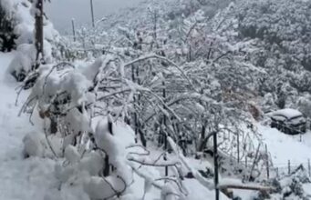 Grandi nevicate in Sardegna, l’Isola si risveglia sotto un manto bianco | Video