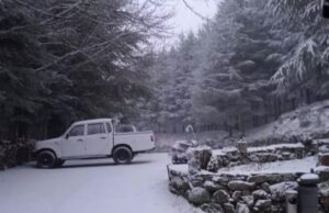 Seulo, corrente elettrica in tilt causa neve | Il Sindaco: “Agganciati a 2 generatori”