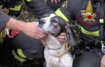 Santadi, portati in salvo un cane e una capra bloccati a 520m di altitudine