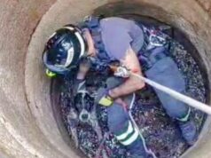 Benetutti, segugio sprofonda in un pozzo: recuperato dall’altezza di 6 metri