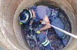Benetutti, segugio sprofonda in un pozzo: recuperato dall’altezza di 6 metri
