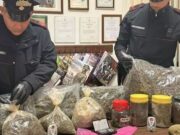 Mores, fugge dal posto di blocco: in casa gli ritrovano 8,1Kg di marijuana