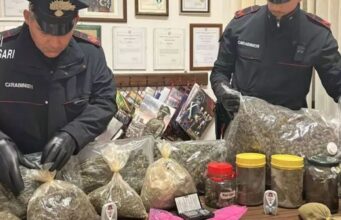 Mores, fugge dal posto di blocco: in casa gli ritrovano 8,1Kg di marijuana