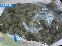 Maxi giro di spaccio nell’oristanese, sequestrati oltre 12Kg di marijuana
