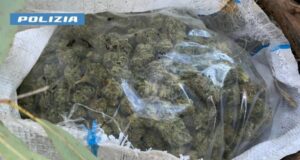 Maxi giro di spaccio nell’oristanese, sequestrati oltre 12Kg di marijuana