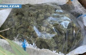 Maxi giro di spaccio nell’oristanese, sequestrati oltre 12Kg di marijuana