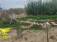 Rifiuti illeciti a Molentargius, la Forestale smaschera i responsabili