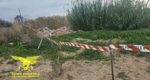 Rifiuti illeciti a Molentargius, la Forestale smaschera i responsabili