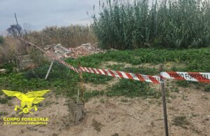 Rifiuti illeciti a Molentargius, la Forestale smaschera i responsabili
