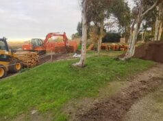 Santa Giusta, lavori anti erosione per salvare le rive dello stagno