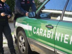 Animali detenuti in condizioni critiche, sequestro in un negozio di Cagliari