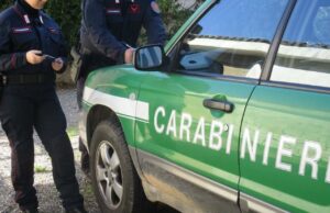 Animali detenuti in condizioni critiche, sequestro in un negozio di Cagliari