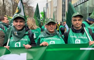 Agricoltori sardi a Bruxelles, Confagricoltura: “Tagli Pac colpo di grazia”