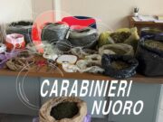Desulo, in casa un laboratorio della droga: arrestato