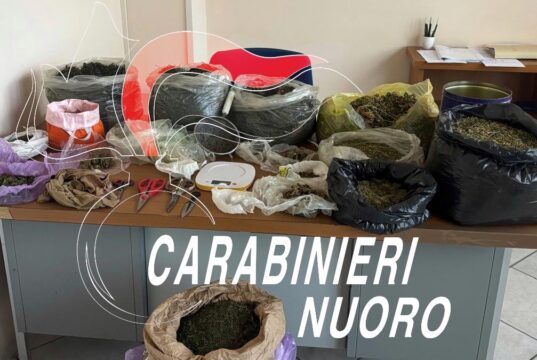 Desulo, in casa un laboratorio della droga: arrestato
