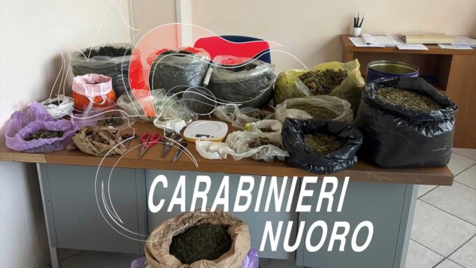 Desulo, in casa un laboratorio della droga: arrestato