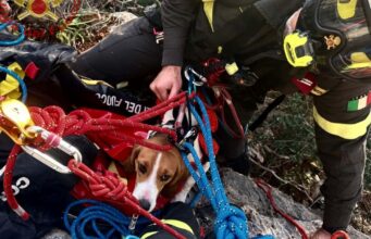 Masua, cane bloccato su una parete rocciosa: salvato dai Vigili del fuoco