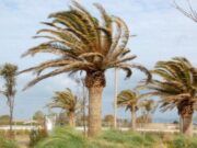 Meteo Sardegna per Capodanno: nuvolosità e forti raffiche di maestrale