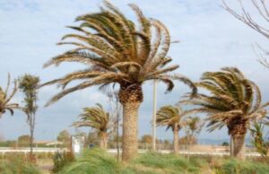 Meteo Sardegna per Capodanno: nuvolosità e forti raffiche di maestrale