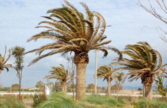 Meteo Sardegna per Capodanno: nuvolosità e forti raffiche di maestrale