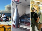 Direzione Marittima Cagliari, il bilancio delle attività nell’anno 2025